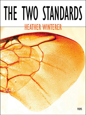 cover image of The Two Standards